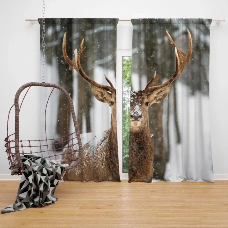 Majestic Deer Curtain