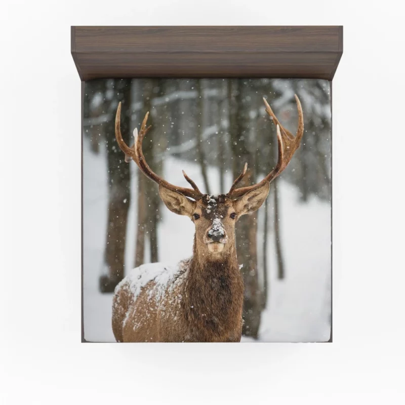 Majestic Deer Fitted Sheet 1