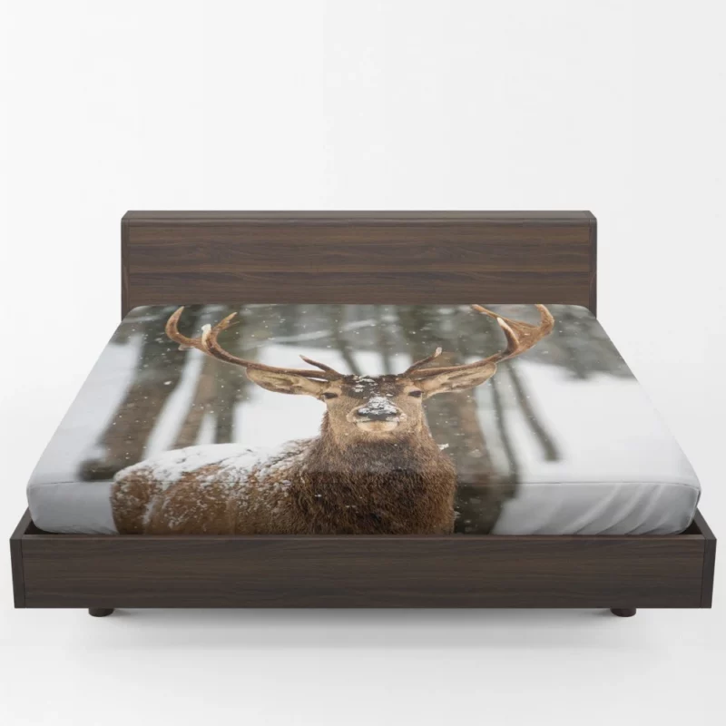 Majestic Deer Fitted Sheet