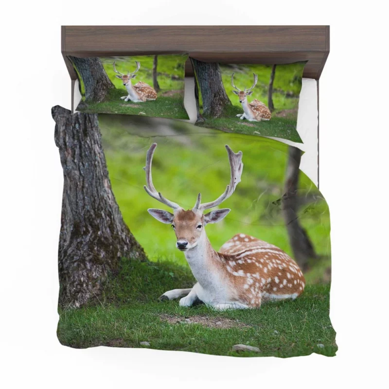 Majestic Deer Forest Vibrant Bedding Set 1