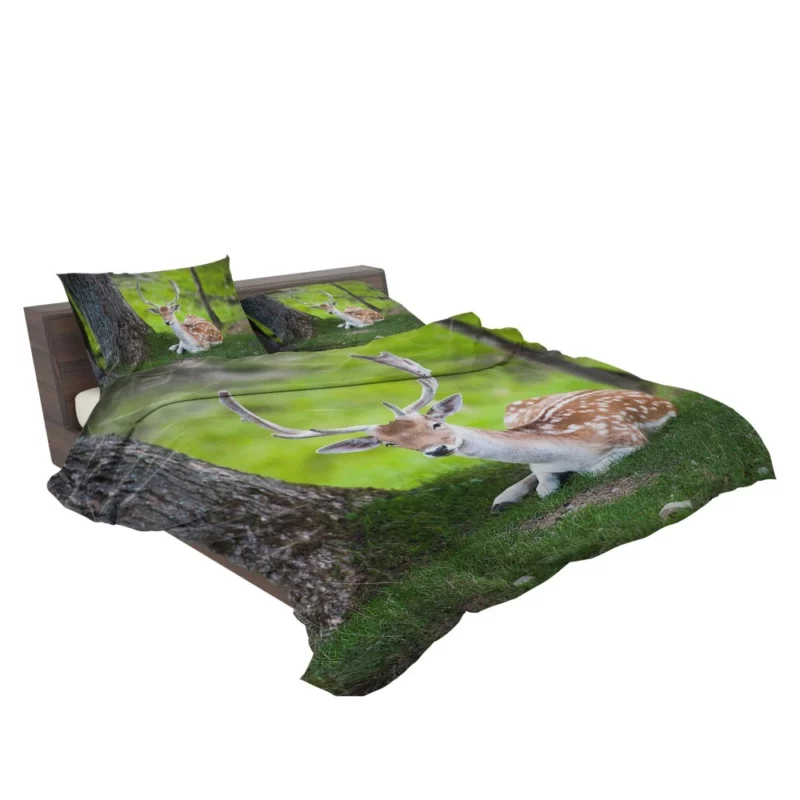 Majestic Deer Forest Vibrant Bedding Set 2