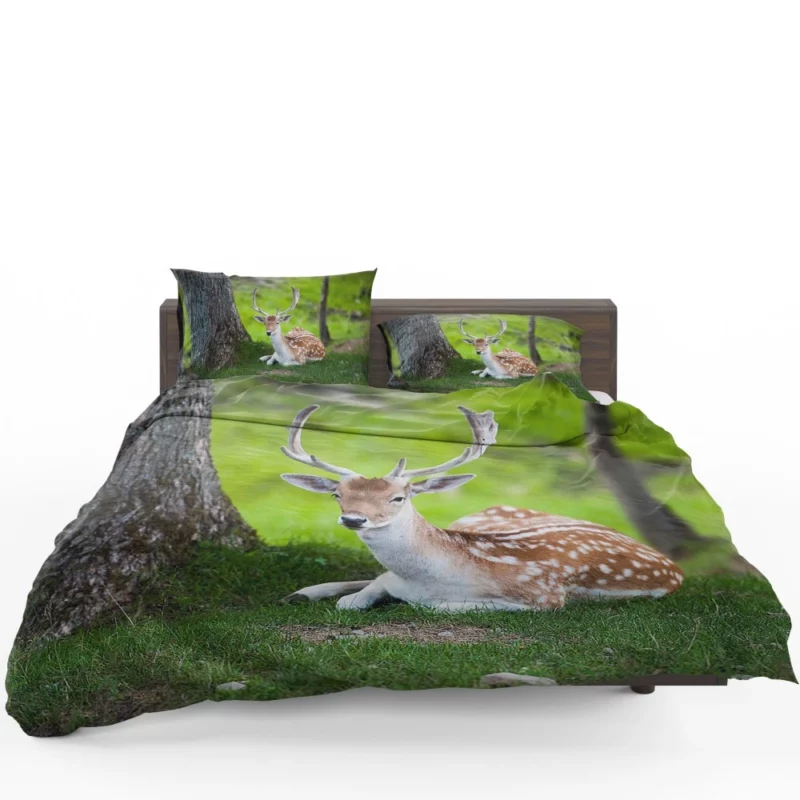 Majestic Deer Forest Vibrant Bedding Set