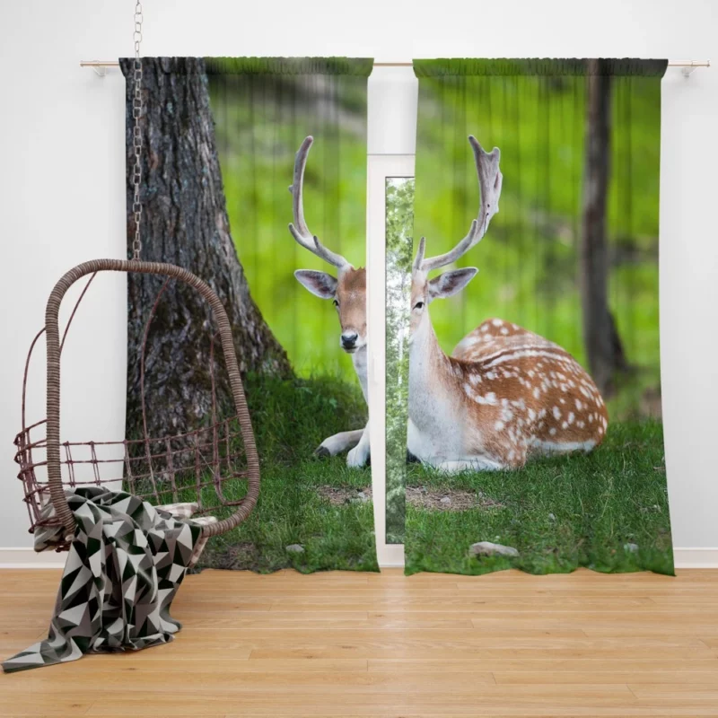 Majestic Deer Forest Vibrant Curtain