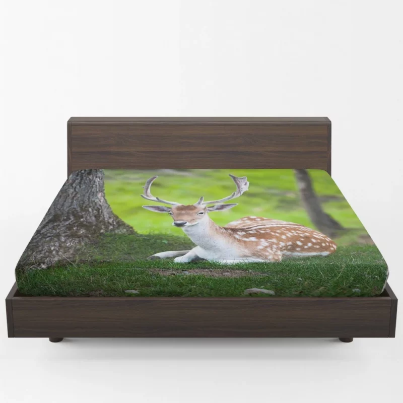 Majestic Deer Forest Vibrant Fitted Sheet