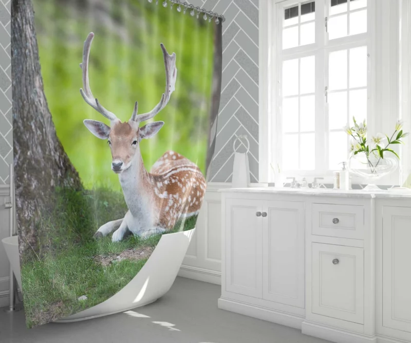 Majestic Deer Forest Vibrant Shower Curtain 1