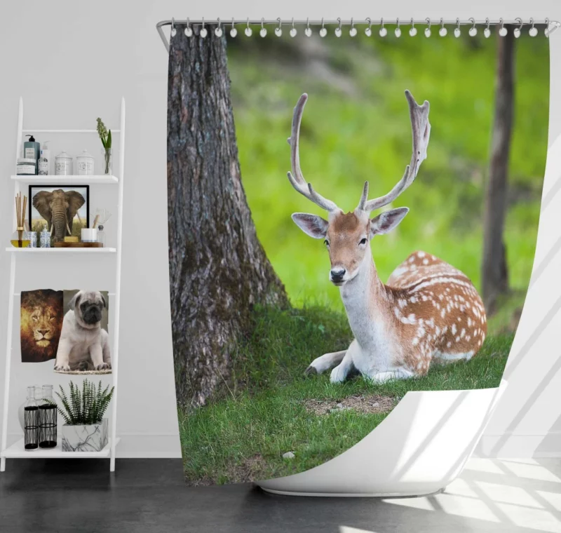 Majestic Deer Forest Vibrant Shower Curtain