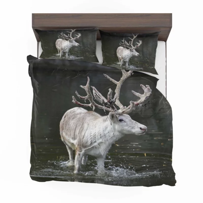 Majestic Deer Grace Bedding Set 1