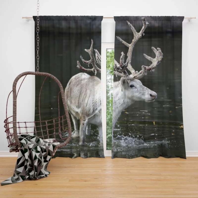 Majestic Deer Grace Curtain