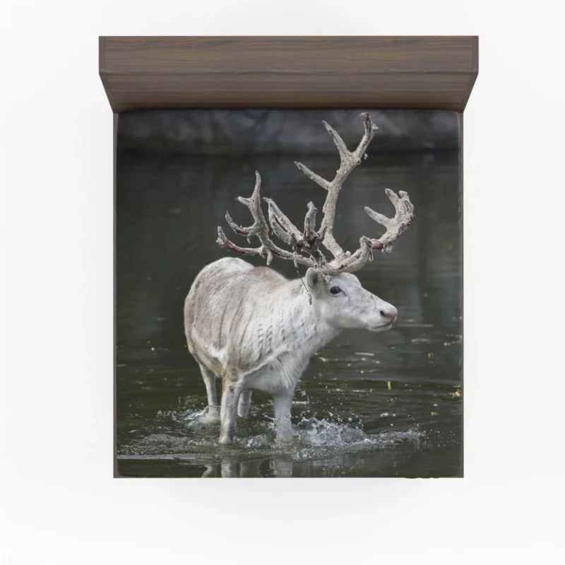 Majestic Deer Grace Fitted Sheet 1