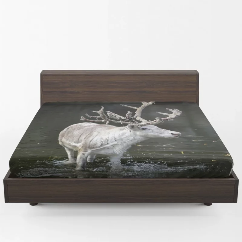 Majestic Deer Grace Fitted Sheet