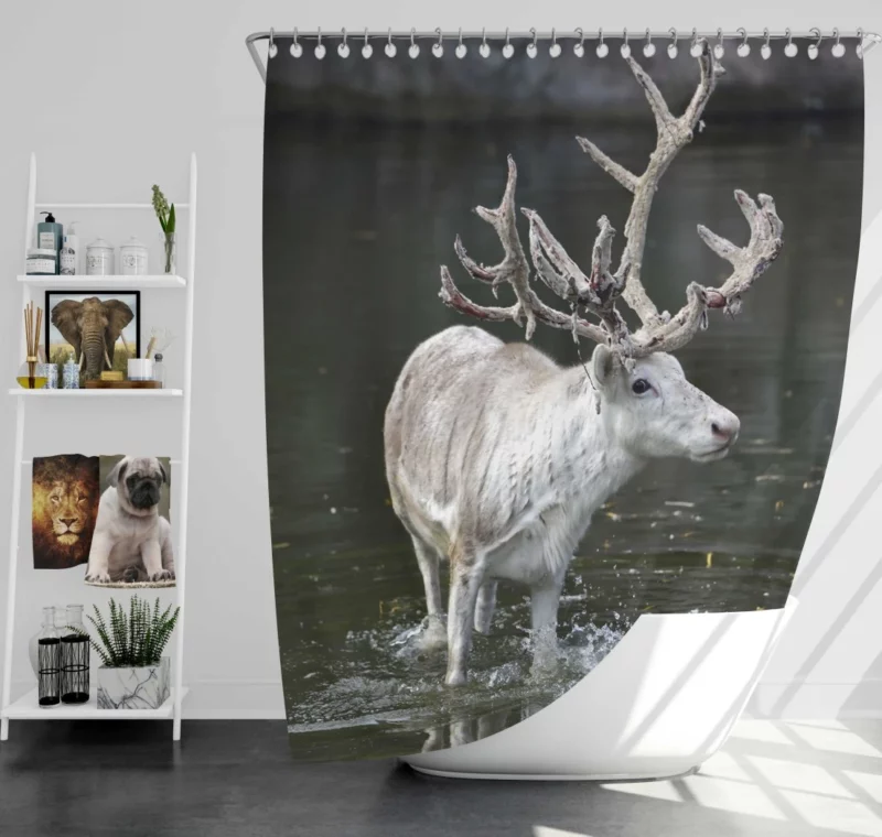 Majestic Deer Grace Shower Curtain