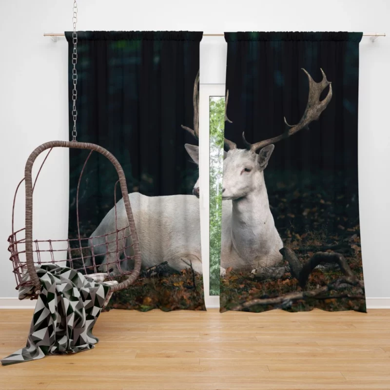 Majestic Deer with Impressive Horns Curtain