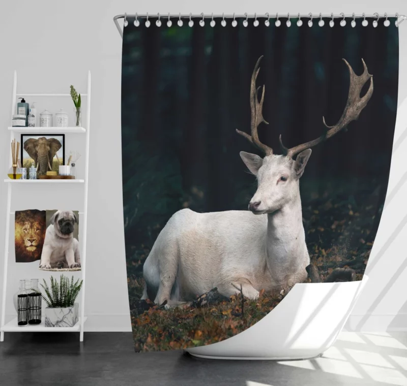 Majestic Deer with Impressive Horns Shower Curtain