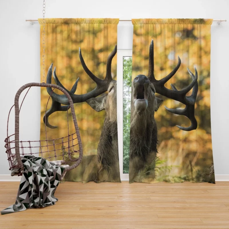 Majestic Elk Presence Wilderness Grace Curtain