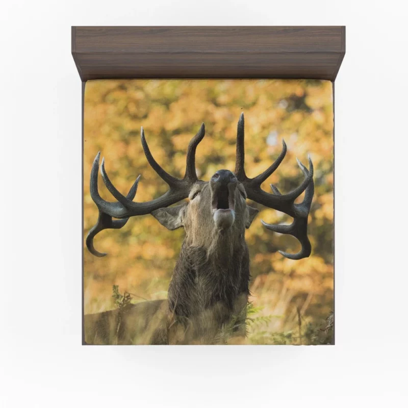 Majestic Elk Presence Wilderness Grace Fitted Sheet 1