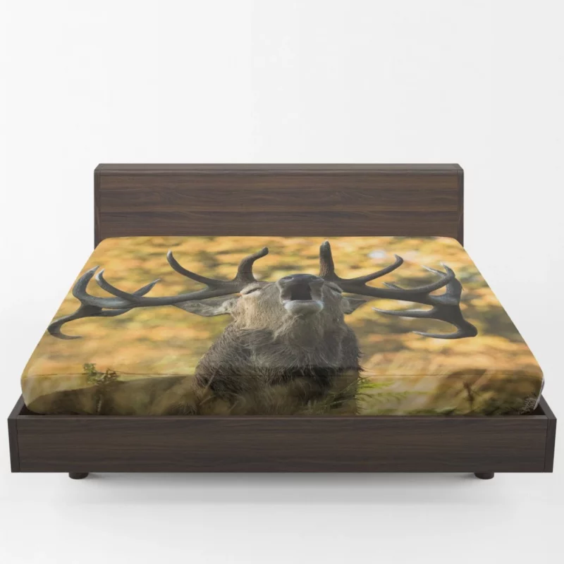 Majestic Elk Presence Wilderness Grace Fitted Sheet