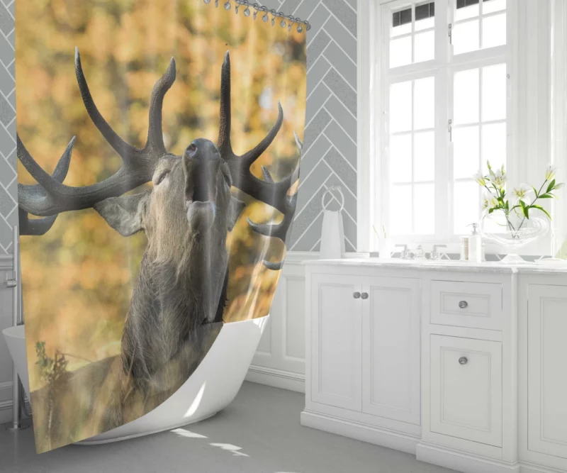 Majestic Elk Presence Wilderness Grace Shower Curtain 1