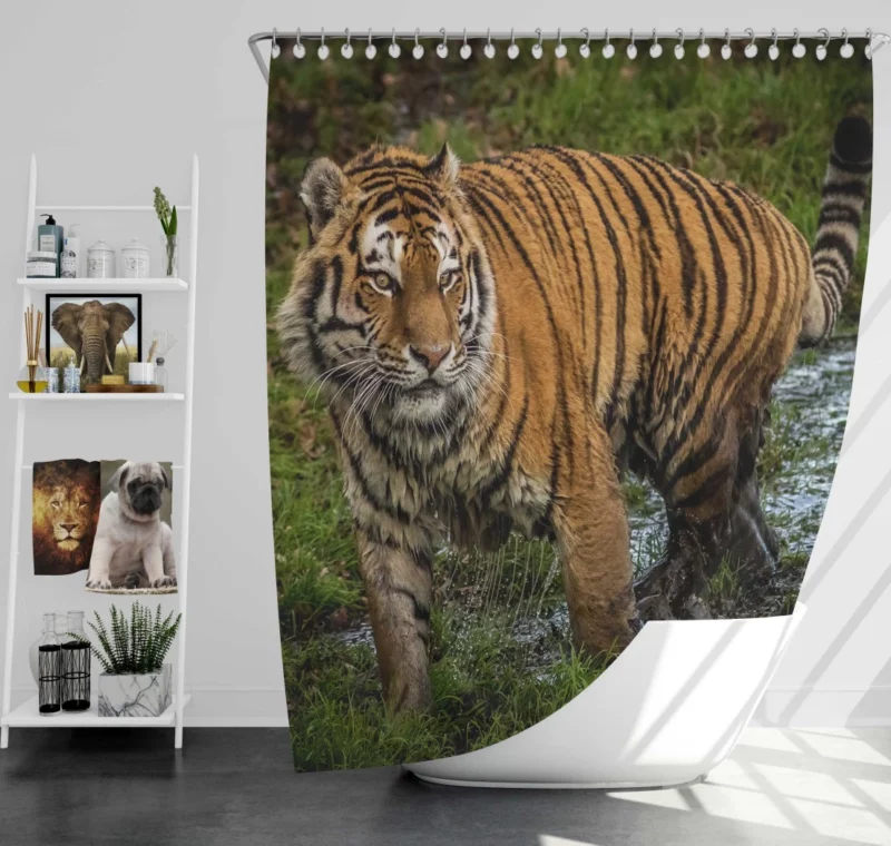 Majestic German Shepherd in Bokeh Shower Curtain