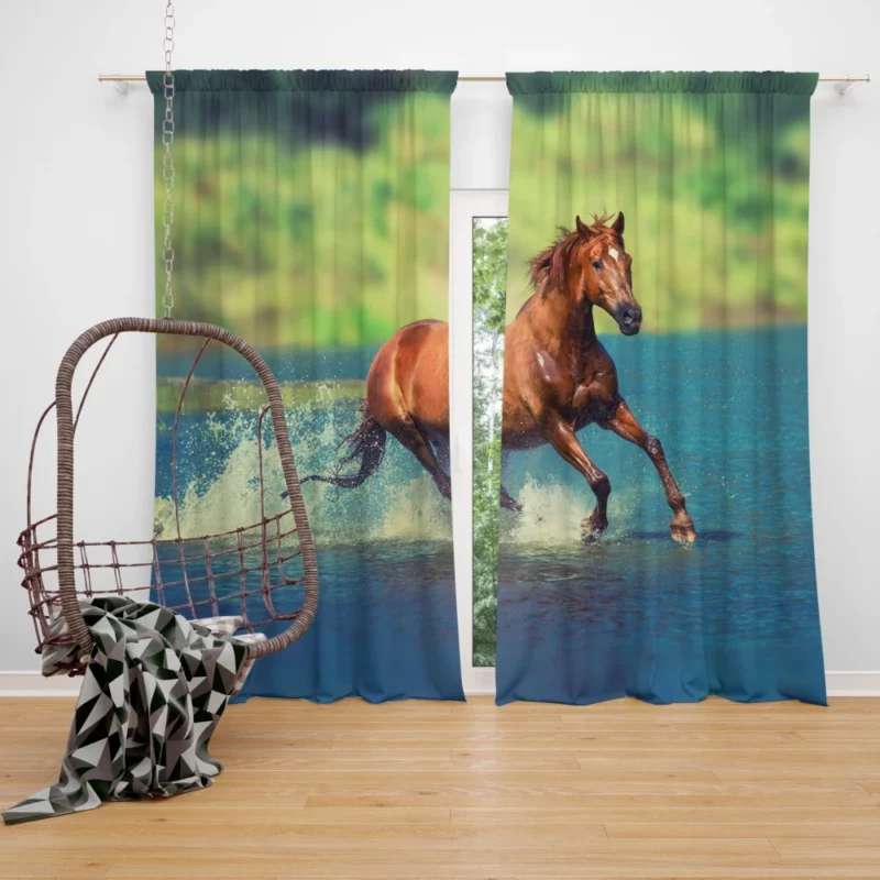 Majestic Horse Beauty Curtain