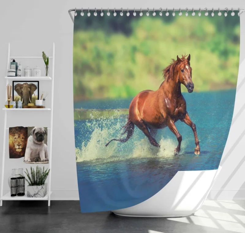 Majestic Horse Beauty Shower Curtain