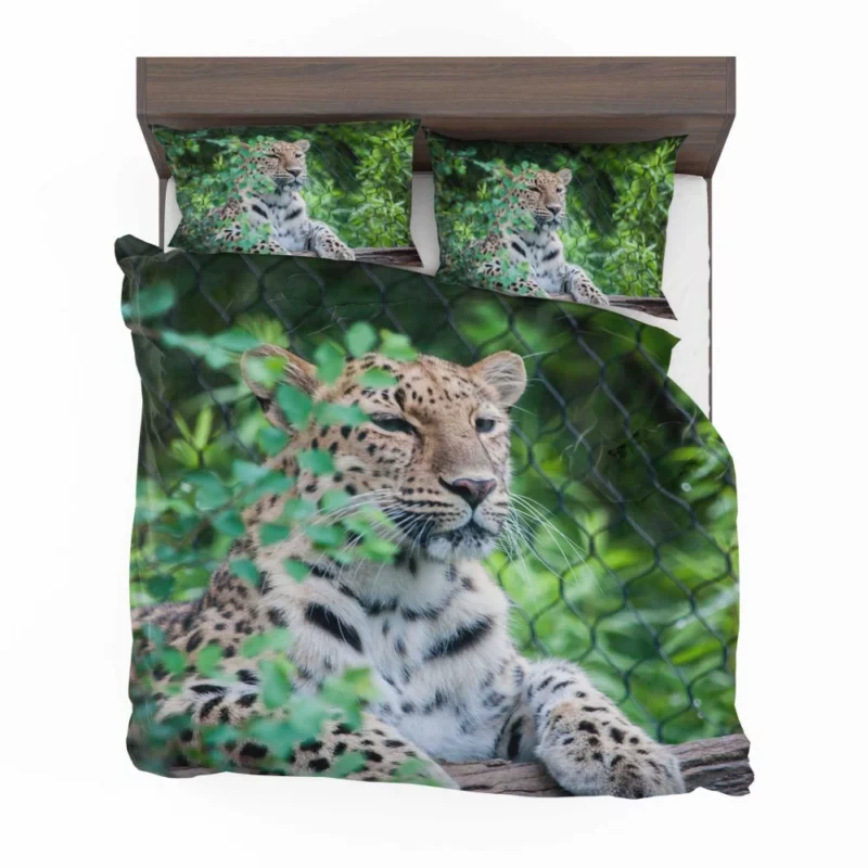 Majestic Leopard Stance Wild Grace Bedding Set 1