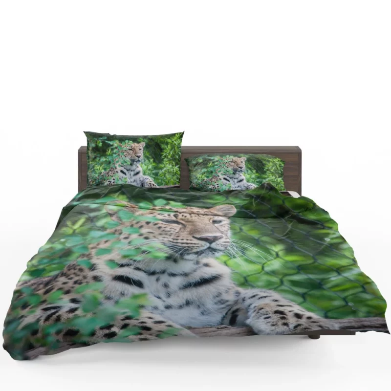 Majestic Leopard Stance Wild Grace Bedding Set