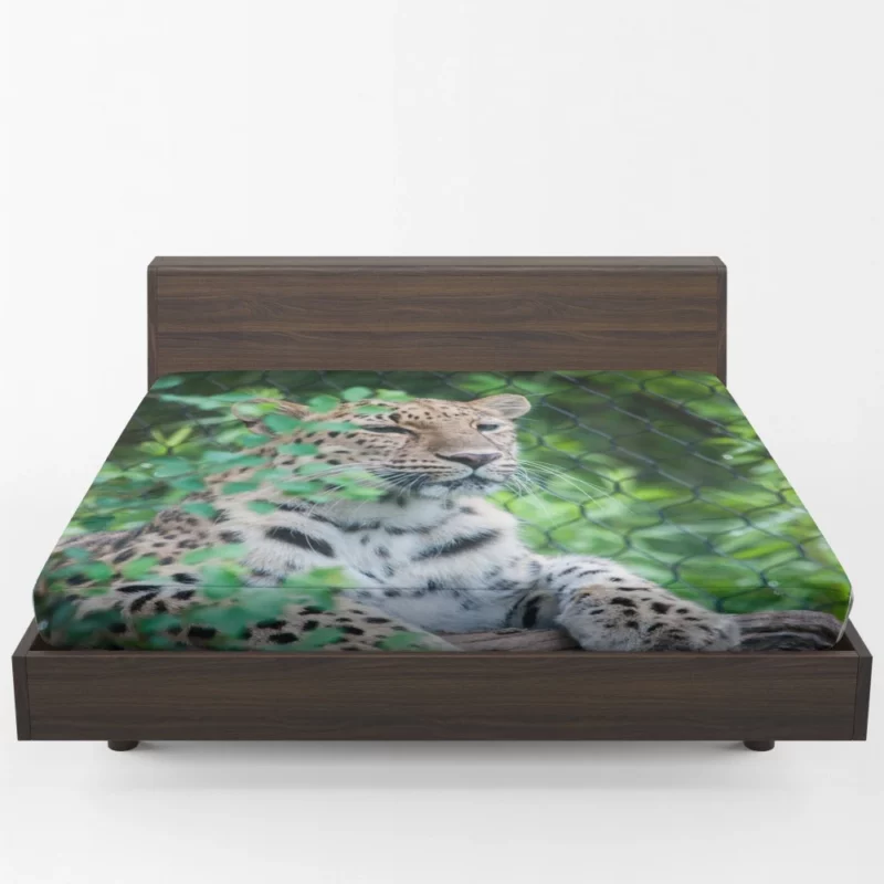 Majestic Leopard Stance Wild Grace Fitted Sheet