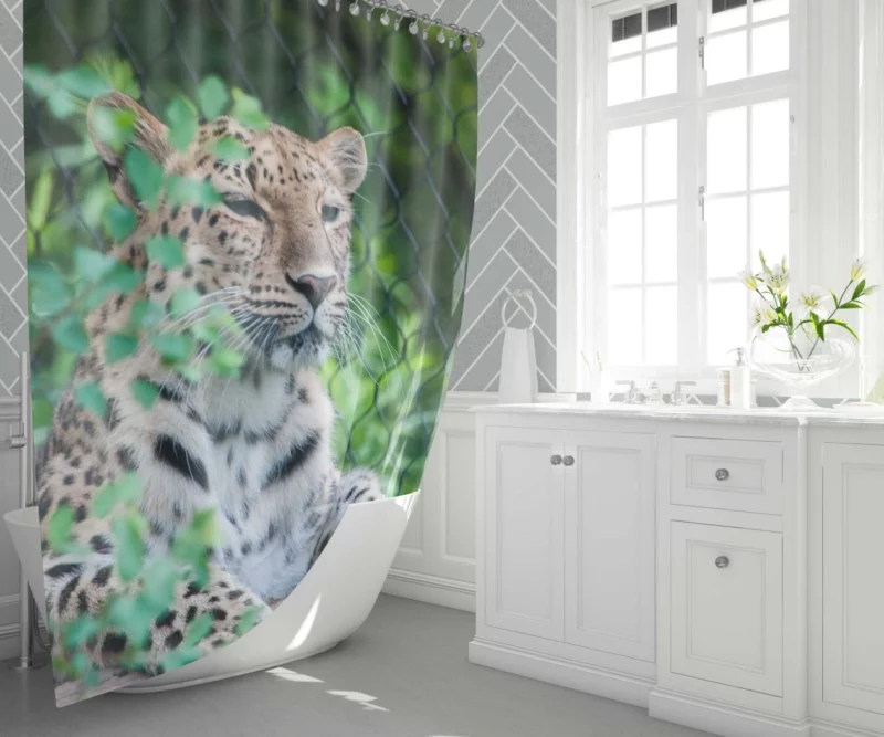 Majestic Leopard Stance Wild Grace Shower Curtain 1