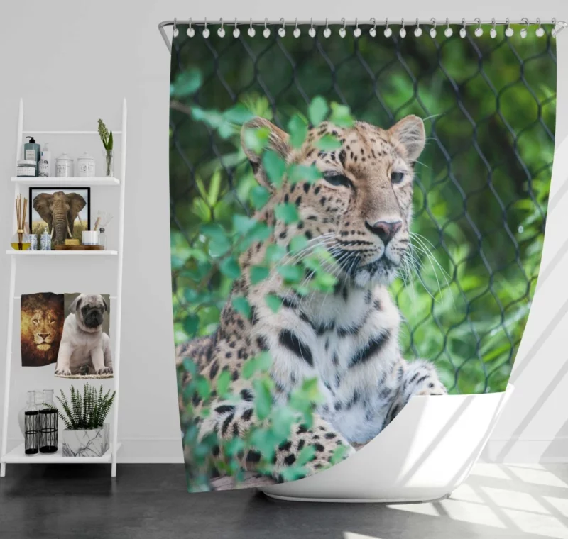 Majestic Leopard Stance Wild Grace Shower Curtain