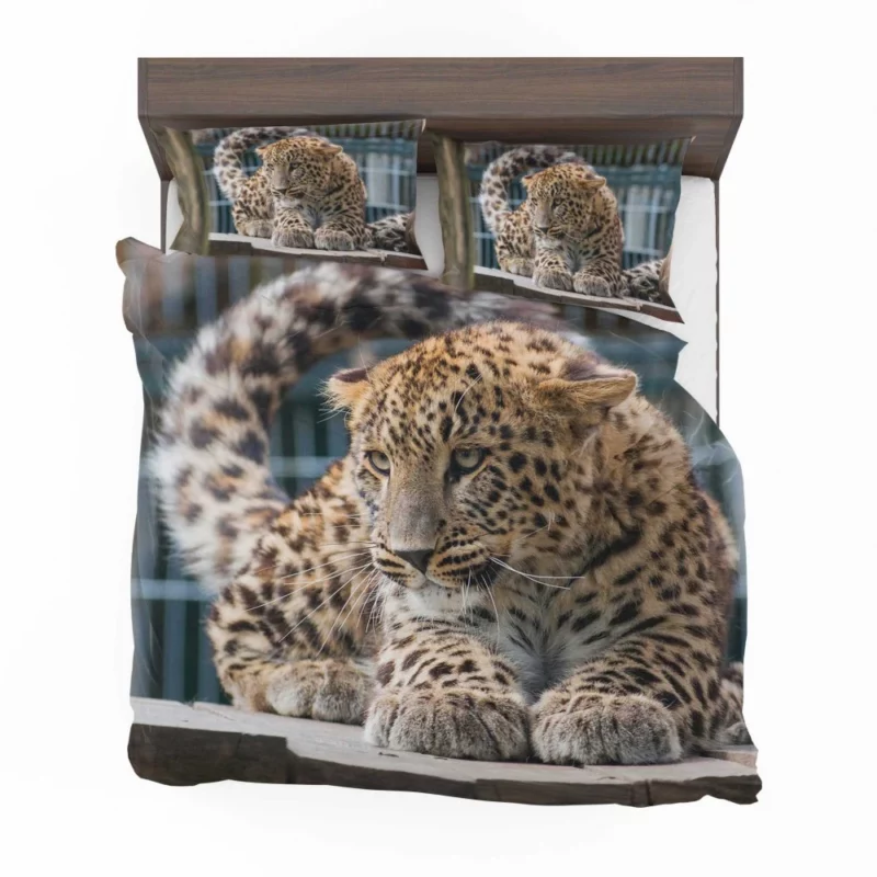 Majestic Leopard in Zoo Habitat Bedding Set 1