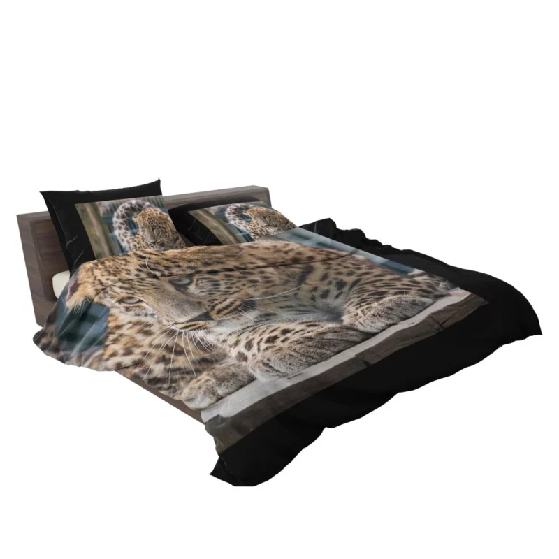 Majestic Leopard in Zoo Habitat Bedding Set 2