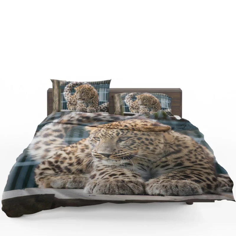 Majestic Leopard in Zoo Habitat Bedding Set