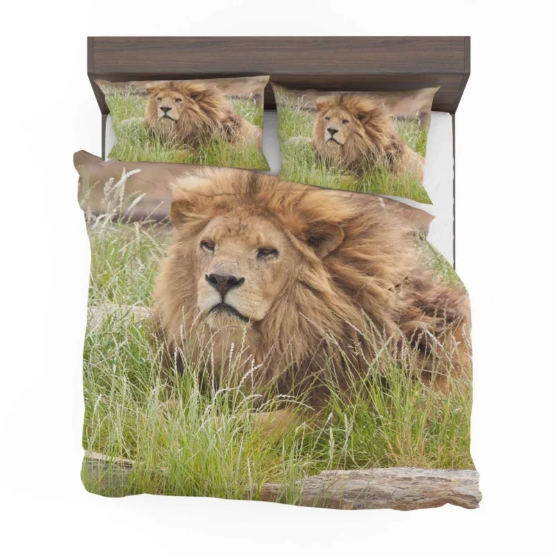 Majestic Lion Amidst Grassland Bedding Set 1