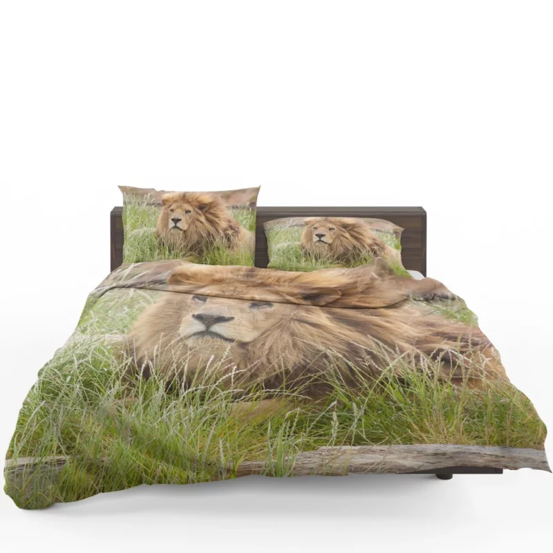 Majestic Lion Amidst Grassland Bedding Set