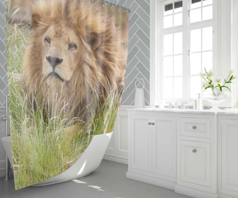 Majestic Lion Amidst Grassland Shower Curtain 1