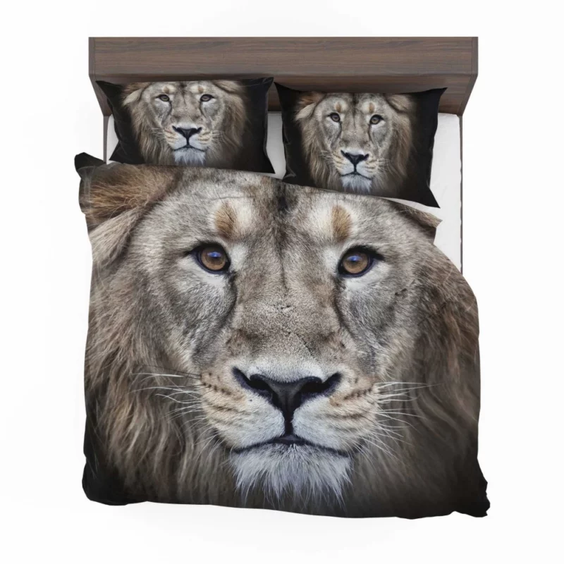 Majestic Lion Enigmatic Stare Bedding Set 1