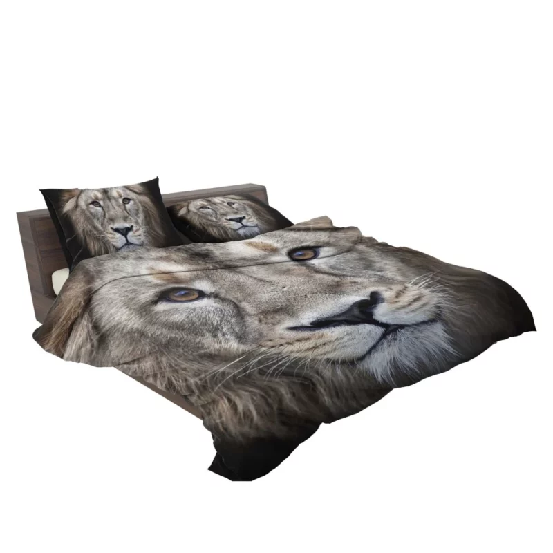 Majestic Lion Enigmatic Stare Bedding Set 2