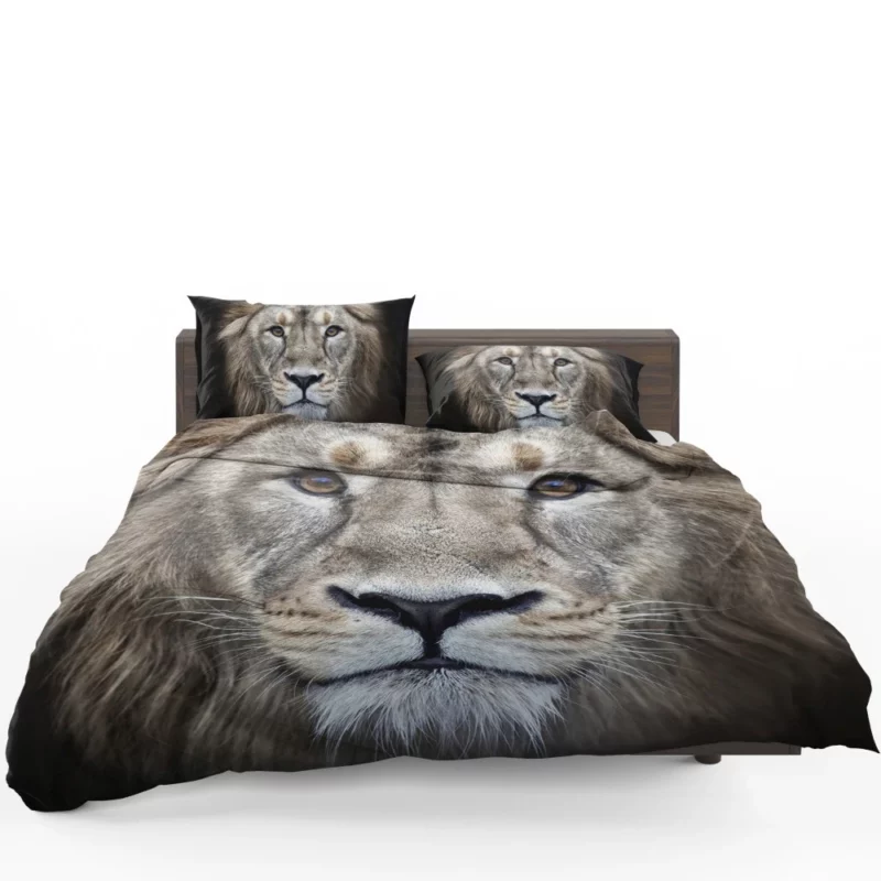 Majestic Lion Enigmatic Stare Bedding Set