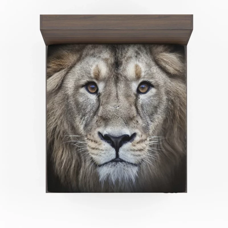 Majestic Lion Enigmatic Stare Fitted Sheet 1