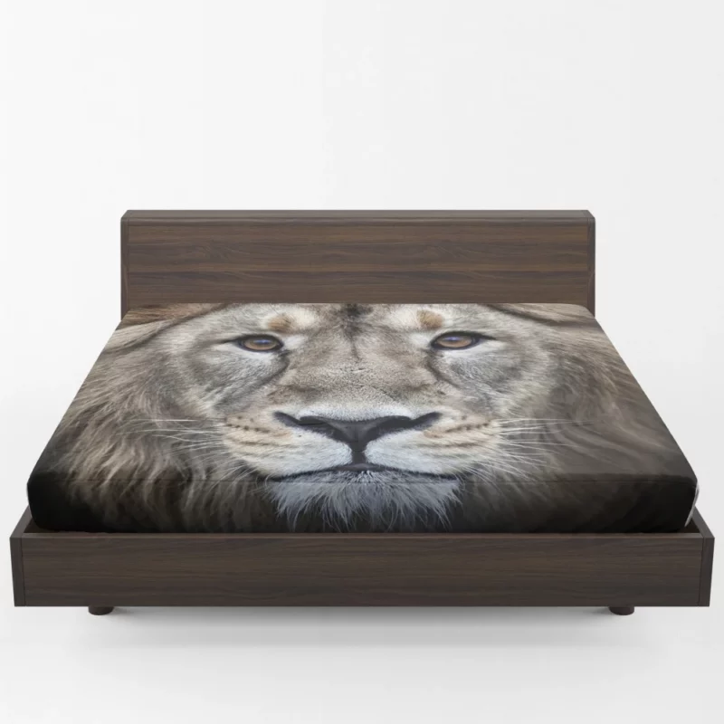 Majestic Lion Enigmatic Stare Fitted Sheet