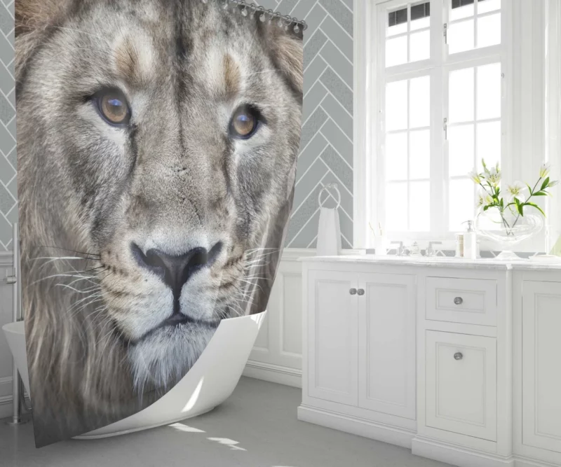 Majestic Lion Enigmatic Stare Shower Curtain 1