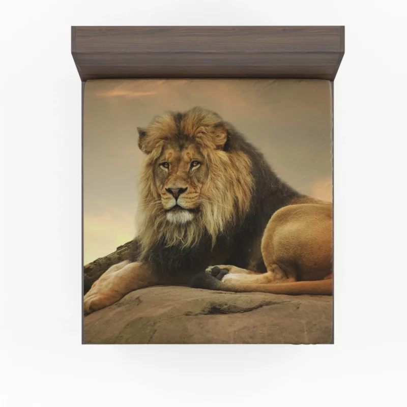 Majestic Lion Intense Gaze Fitted Sheet 1