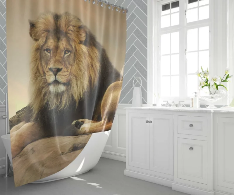 Majestic Lion Intense Gaze Shower Curtain 1