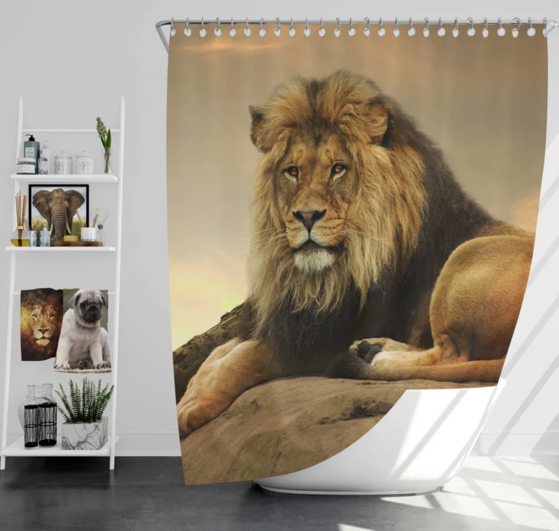 Majestic Lion Intense Gaze Shower Curtain