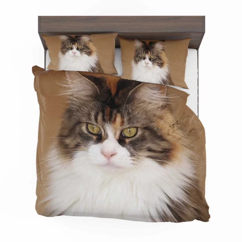 Majestic Maine Coon Feline Royalty Bedding Set 1