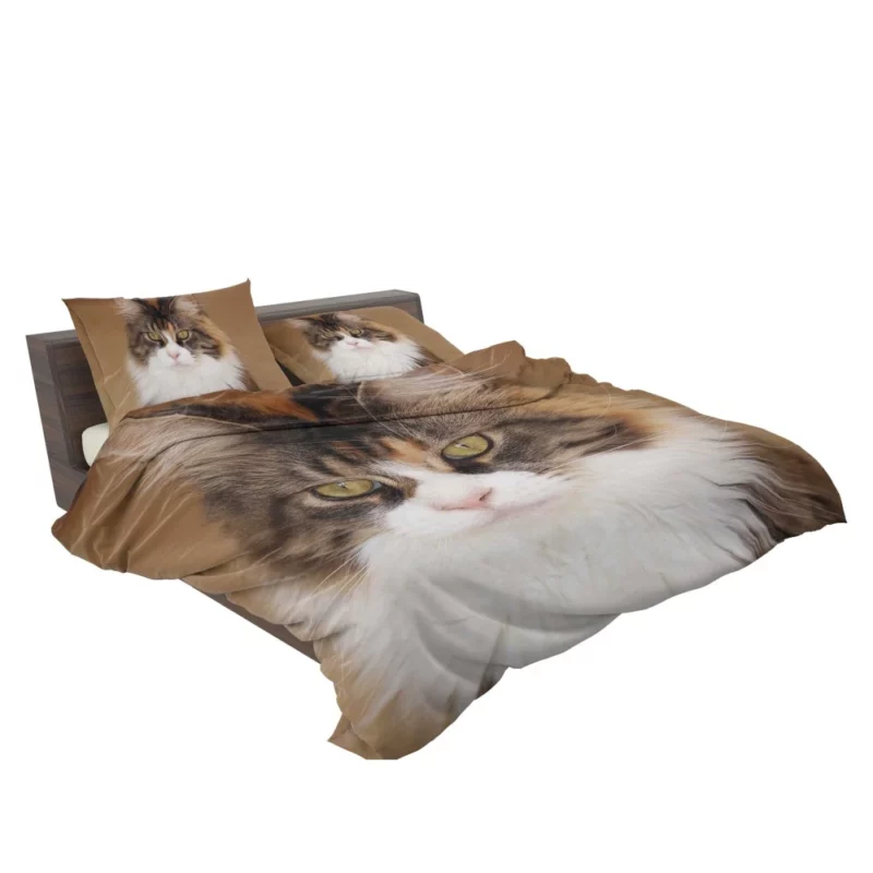 Majestic Maine Coon Feline Royalty Bedding Set 2