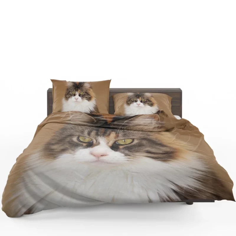 Majestic Maine Coon Feline Royalty Bedding Set