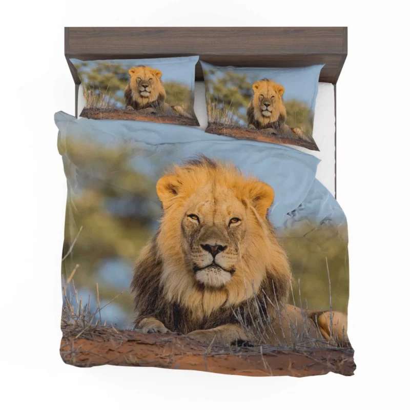 Majestic Majesty Lion Roaring Realm Bedding Set 1