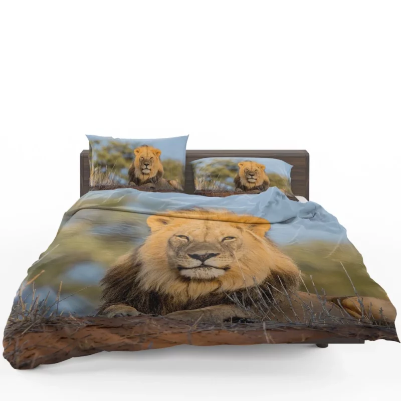 Majestic Majesty Lion Roaring Realm Bedding Set