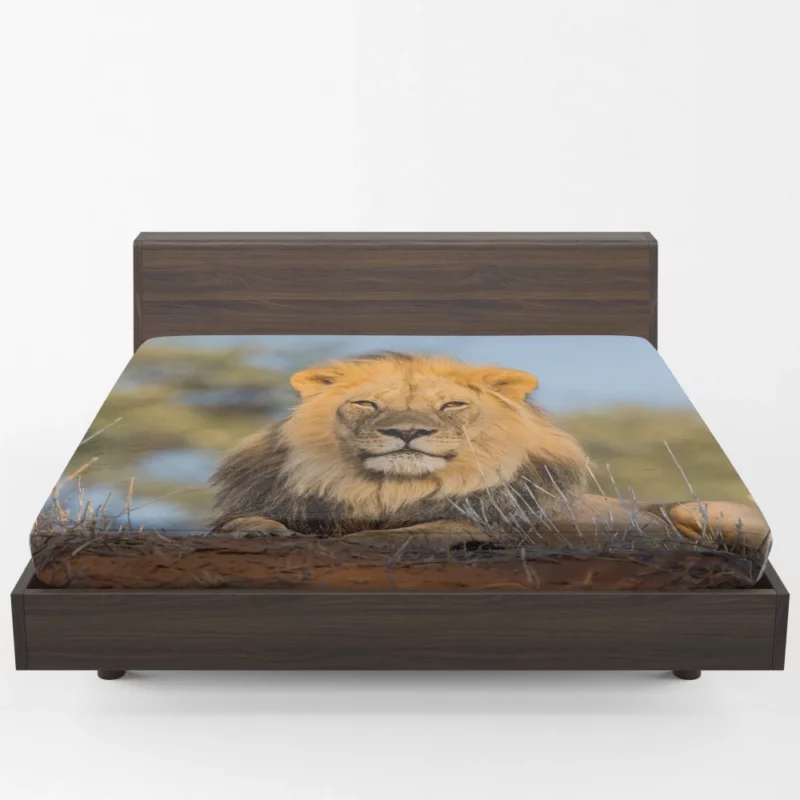 Majestic Majesty Lion Roaring Realm Fitted Sheet